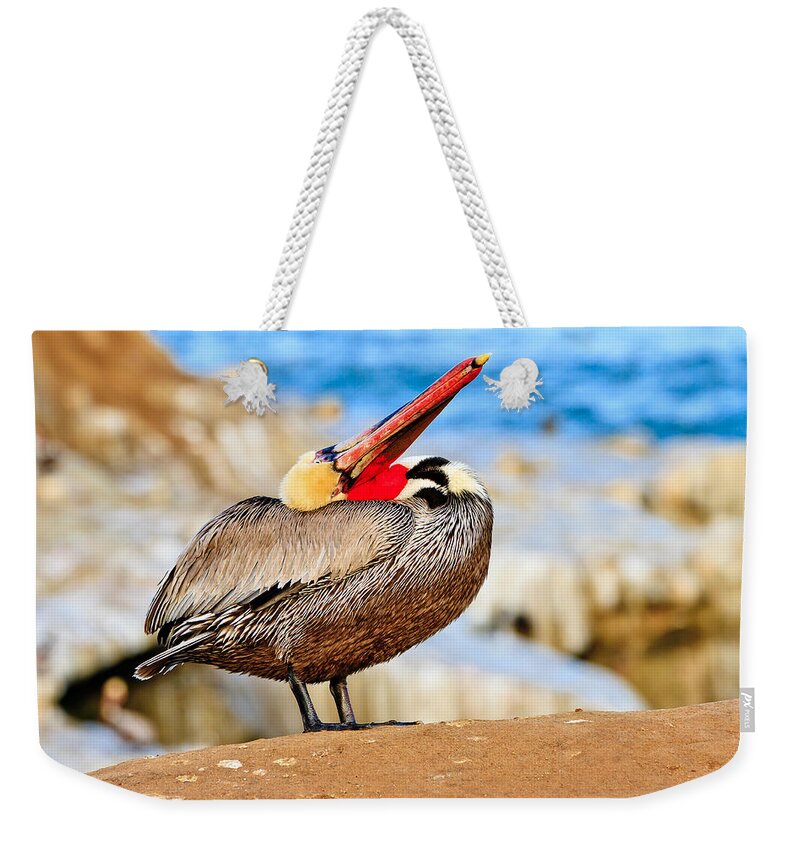 Pelican Weekender Tote Bag featuring the photograph Brown Pelican Mating Season Display by Ben Graham