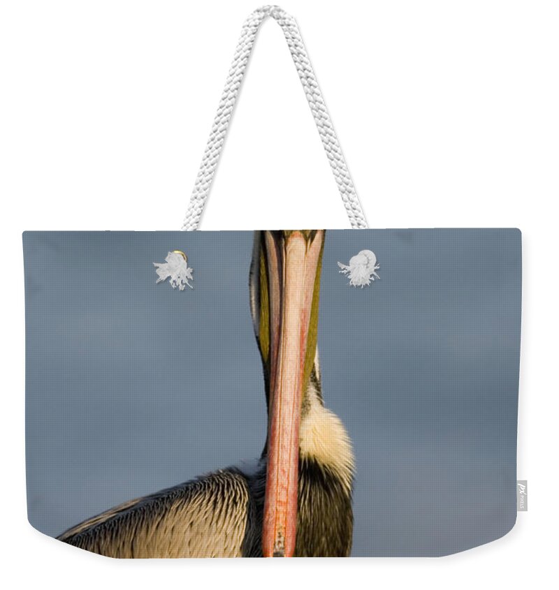 Feb0514 Weekender Tote Bag featuring the photograph Brown Pelican Portrait California by Tom Vezo