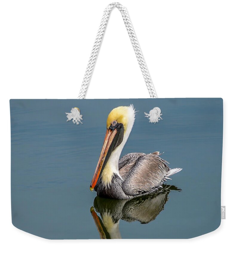 Brown Pelican Reflection Weekender Tote Bag featuring the photograph Brown Pelican Reflection by Debra Martz
