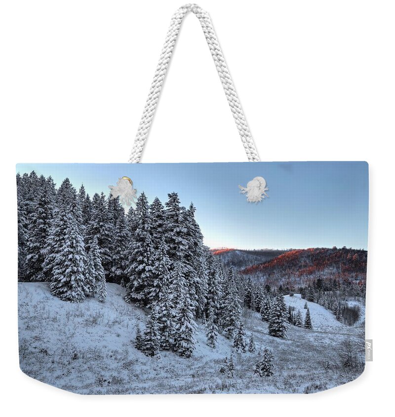 Cold Weekender Tote Bag featuring the photograph Brush of Winter by David Andersen