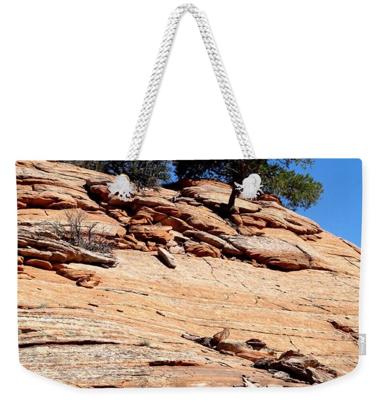 Bryce Canyon Weekender Tote Bag featuring the photograph Bryce Canyon 336 by Maria Huntley