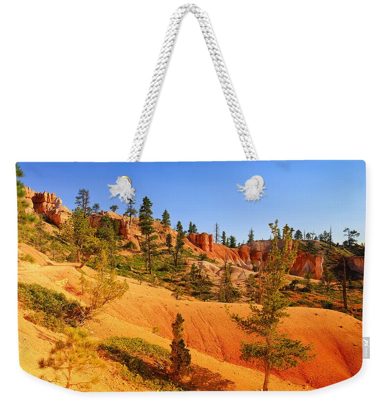 Bryce Canyon Weekender Tote Bag featuring the photograph Bryce Delicate Landscape by Greg Norrell