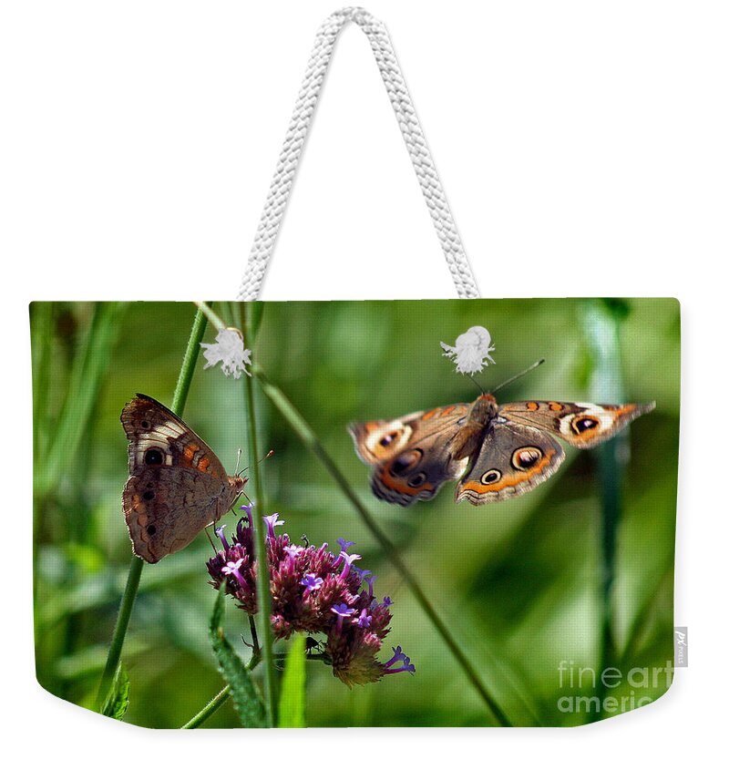 Buckeye Butterfly Weekender Tote Bag featuring the photograph Buckeye Butterflies by Karen Adams