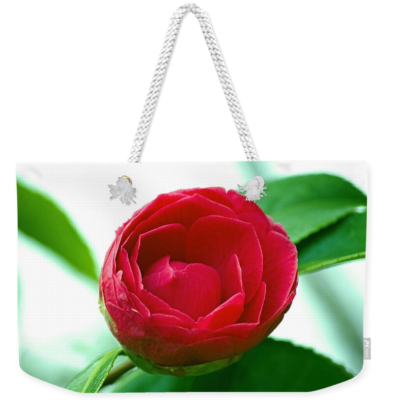 Flower Weekender Tote Bag featuring the photograph Budding Camelia by Tikvah's Hope