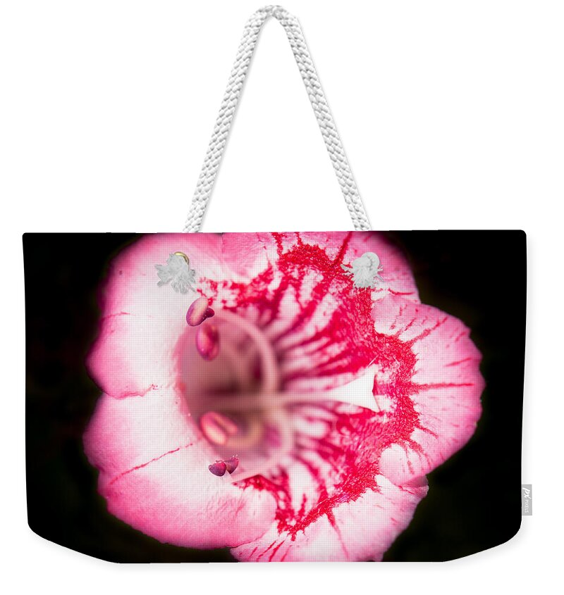 Botanical Weekender Tote Bag featuring the photograph Budding Flower by John Wadleigh
