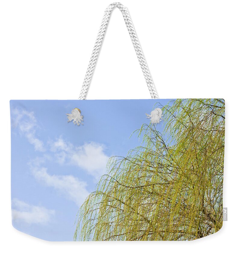Autumn Weekender Tote Bag featuring the photograph Budding willow by Tom Gowanlock