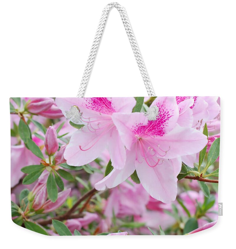 Pink Azalea Weekender Tote Bag featuring the photograph Buds and Blossoms - Two George L. Taber Pink Azaleas and Friends by Connie Fox