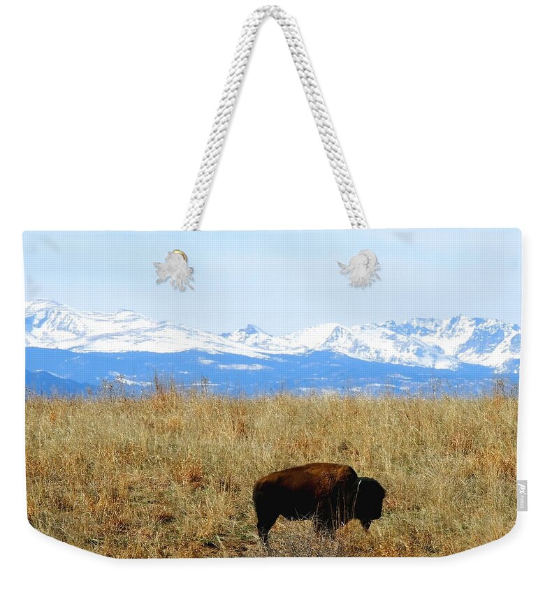 Buffalo Weekender Tote Bag featuring the photograph Buffalo and the Rocky Mountains by Amy McDaniel