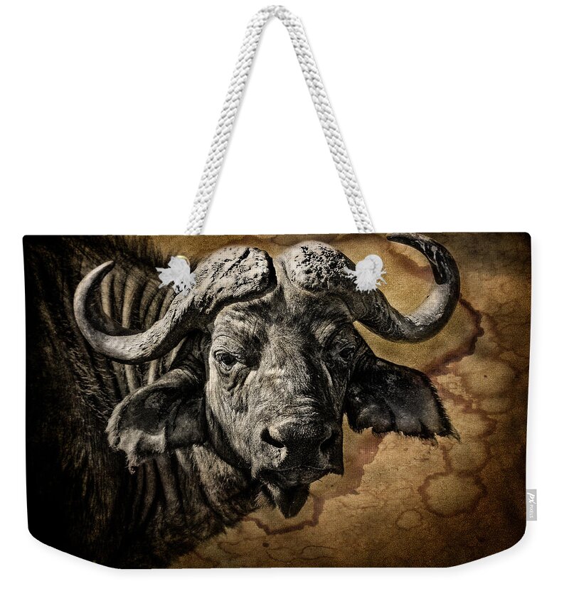 Africa Weekender Tote Bag featuring the photograph Buffalo Portrait by Mike Gaudaur