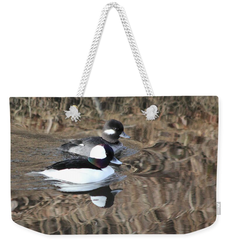 Ducks Weekender Tote Bag featuring the photograph Bufflehead Pair by Shane Bechler