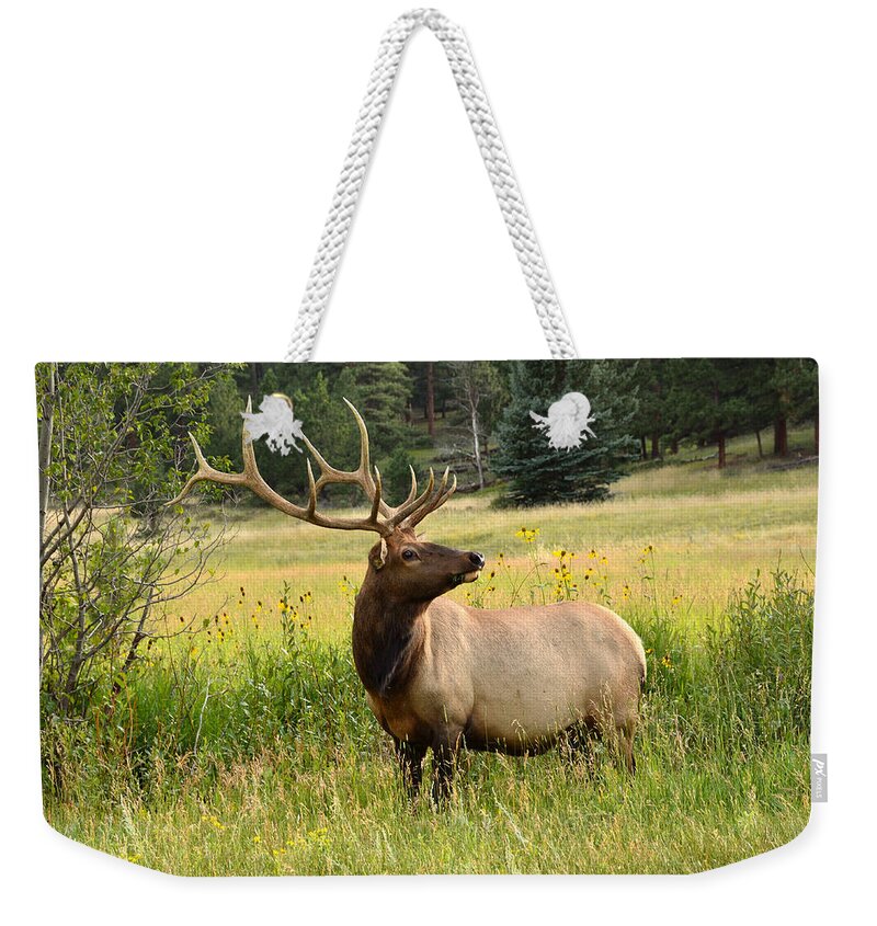 Wapiti Weekender Tote Bag featuring the photograph Bull Elk in Wildflowers by Tranquil Light Photography