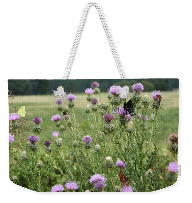 Cirsium Vulgare Weekender Tote Bag featuring the photograph Bull Thistle and Butterflies by Kathy Clark