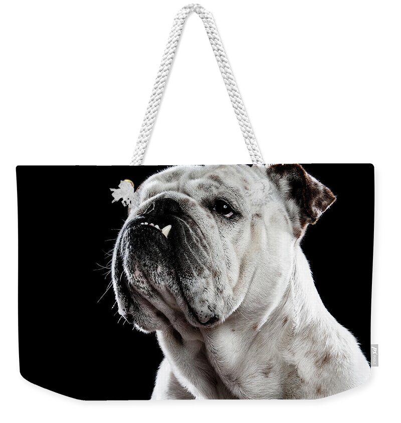 Pets Weekender Tote Bag featuring the photograph Bulldog by Alvaro Pérez