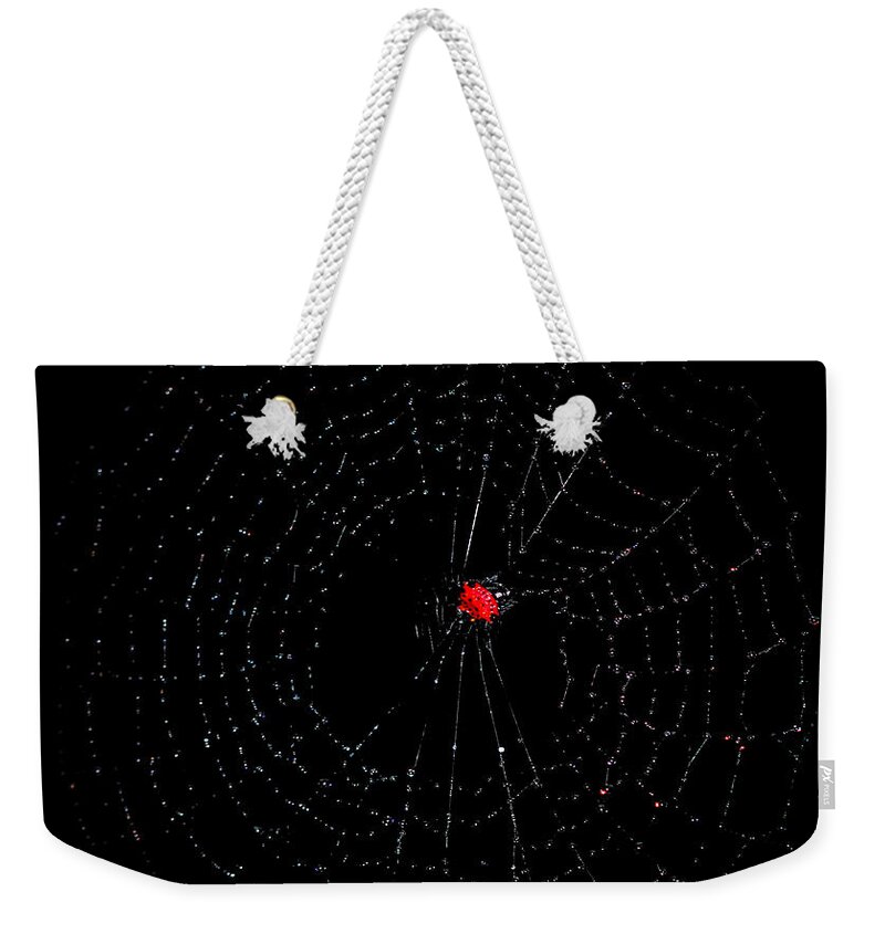 Spider Weekender Tote Bag featuring the photograph Bulls-eye by Lucy VanSwearingen