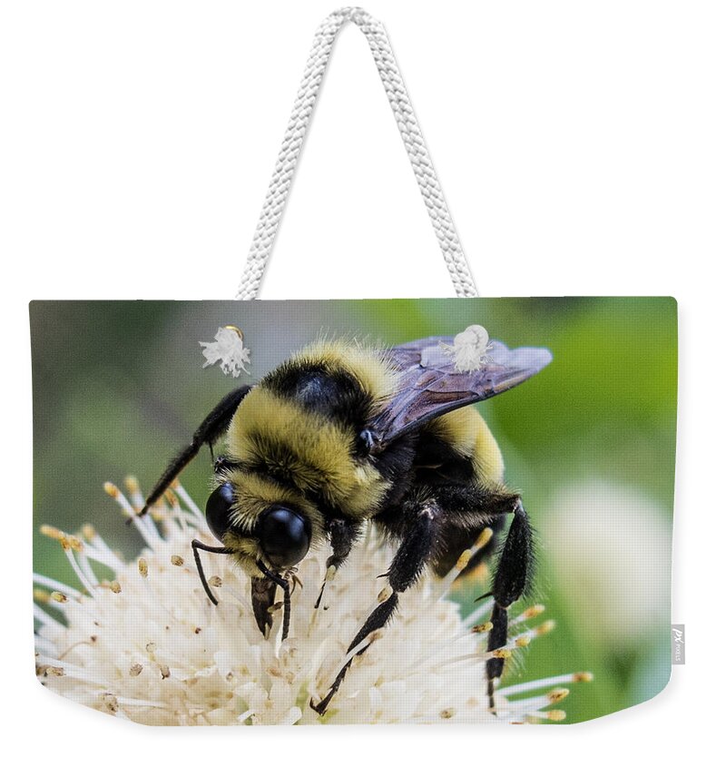 Bumblebee Weekender Tote Bag featuring the photograph Bumblebee on a Buttonwillow by Susan Eileen Evans