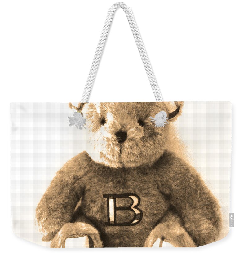 burberry bear bag