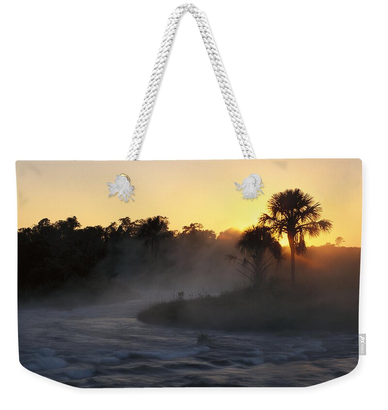 Feb0514 Weekender Tote Bag featuring the photograph Buriti Palm Gallery Forest by Tui De Roy