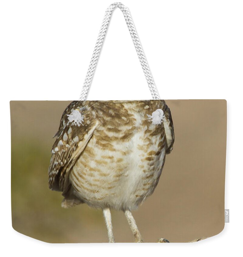 Birder Weekender Tote Bag featuring the photograph Burrowing Owl by Bryan Keil