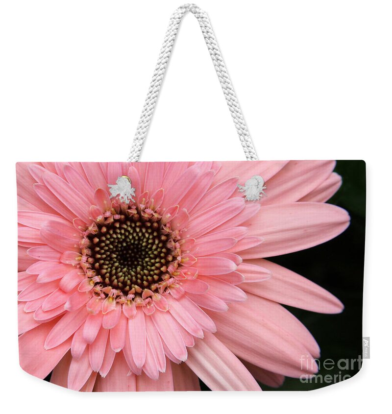 Flower Weekender Tote Bag featuring the photograph Burst of Pink by Jayne Carney