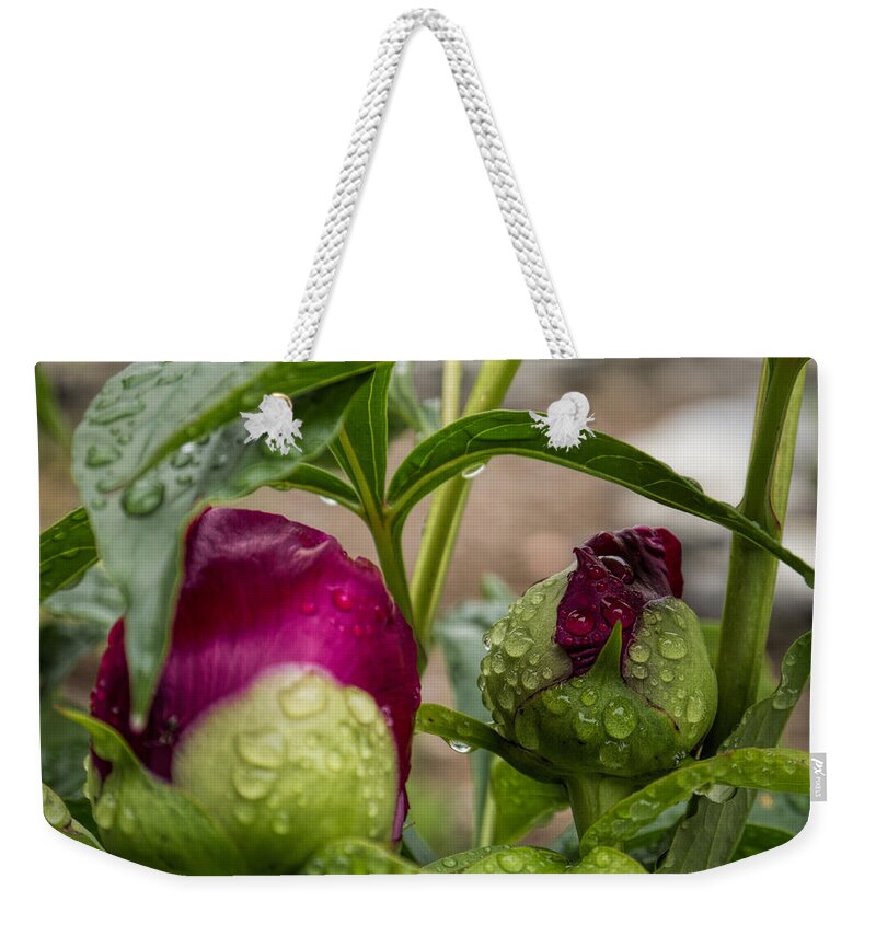 Nature Weekender Tote Bag featuring the photograph Bursting to Bloom by Jo-Anne Gazo-McKim