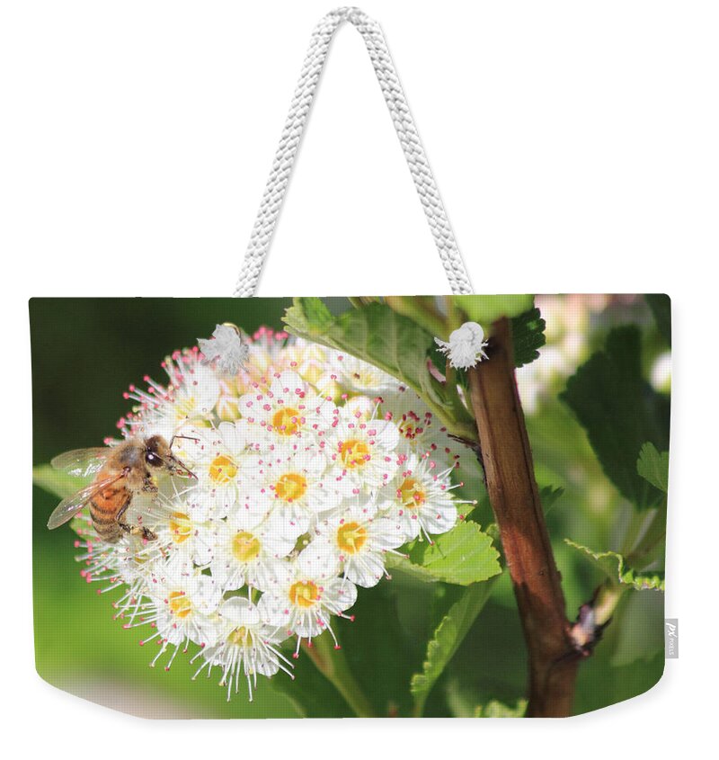 Bee Weekender Tote Bag featuring the photograph Busy As A Bee by Shane Bechler