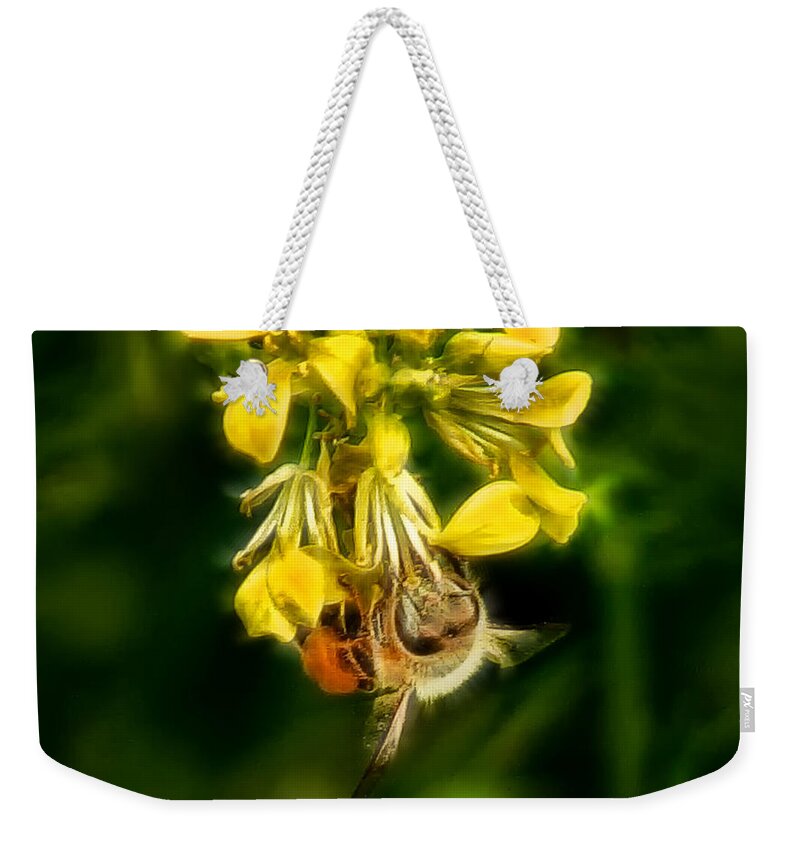 Bee Weekender Tote Bag featuring the photograph Busy Bee by Lucy VanSwearingen