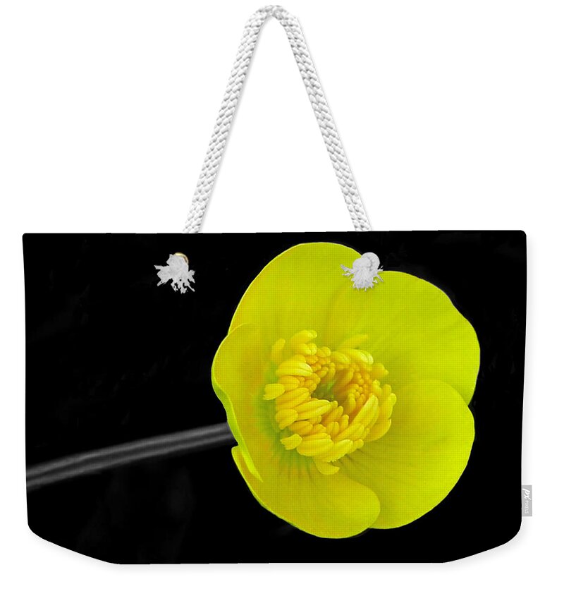 Buttercup Weekender Tote Bag featuring the photograph Buttercup by Lisa Phillips