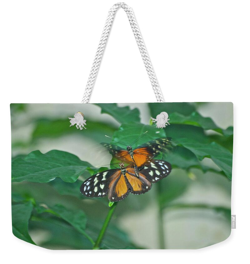 Animals Weekender Tote Bag featuring the photograph Butterflies Gentle Touch by Thomas Woolworth