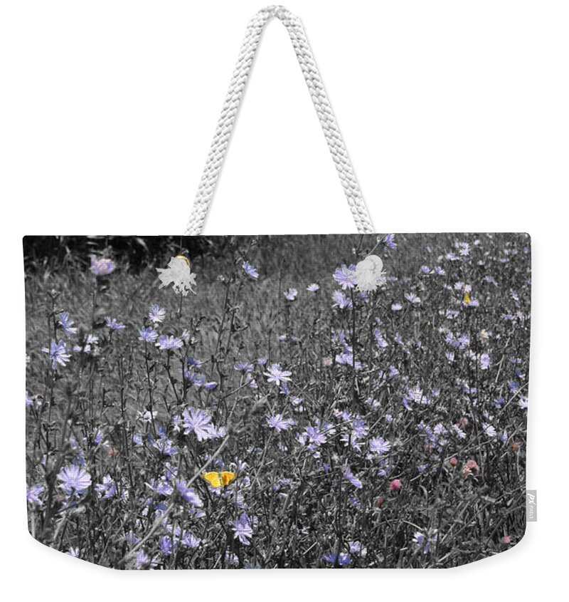 Unique Weekender Tote Bag featuring the photograph Butterflies on Chicory by Dylan Punke