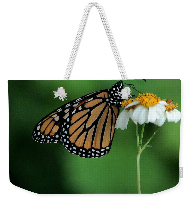 Flower Weekender Tote Bag featuring the photograph Butterfly 3 by Leticia Latocki