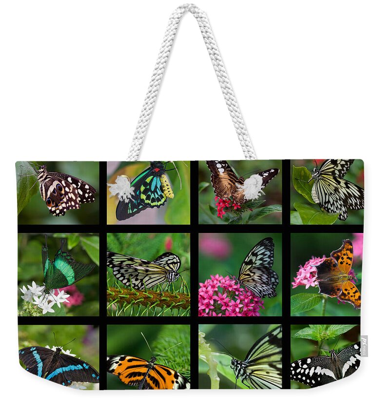 Butterfly Weekender Tote Bag featuring the photograph Butterfly Collage by Joann Vitali