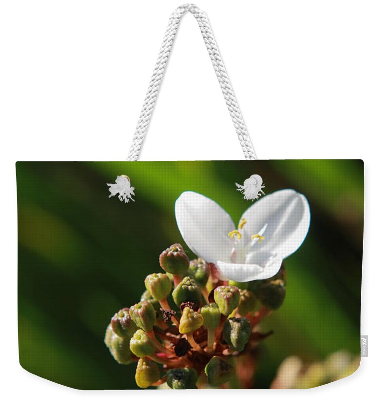 Flower Weekender Tote Bag featuring the photograph Butterfly Flower by Aidan Moran