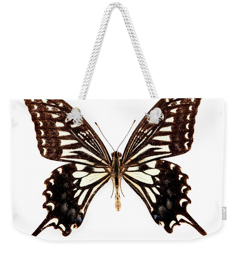 White Background Weekender Tote Bag featuring the photograph Butterfly by Lockiecurrie