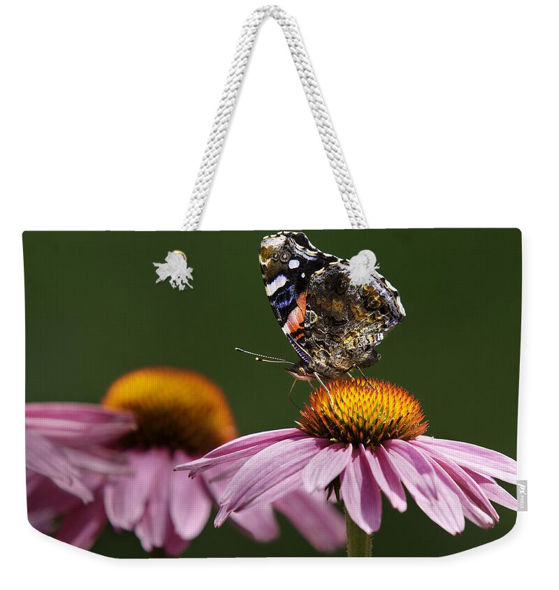 Lepidoptera Nymphalidae Weekender Tote Bag featuring the photograph Butterfly Red Admiral on Echinacea by Peter V Quenter