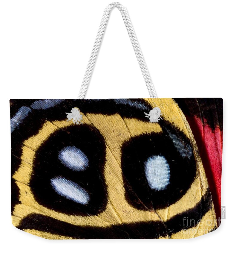 Peru Weekender Tote Bag featuring the photograph Butterflys Hind Wing by Gregory G Dimijian MD
