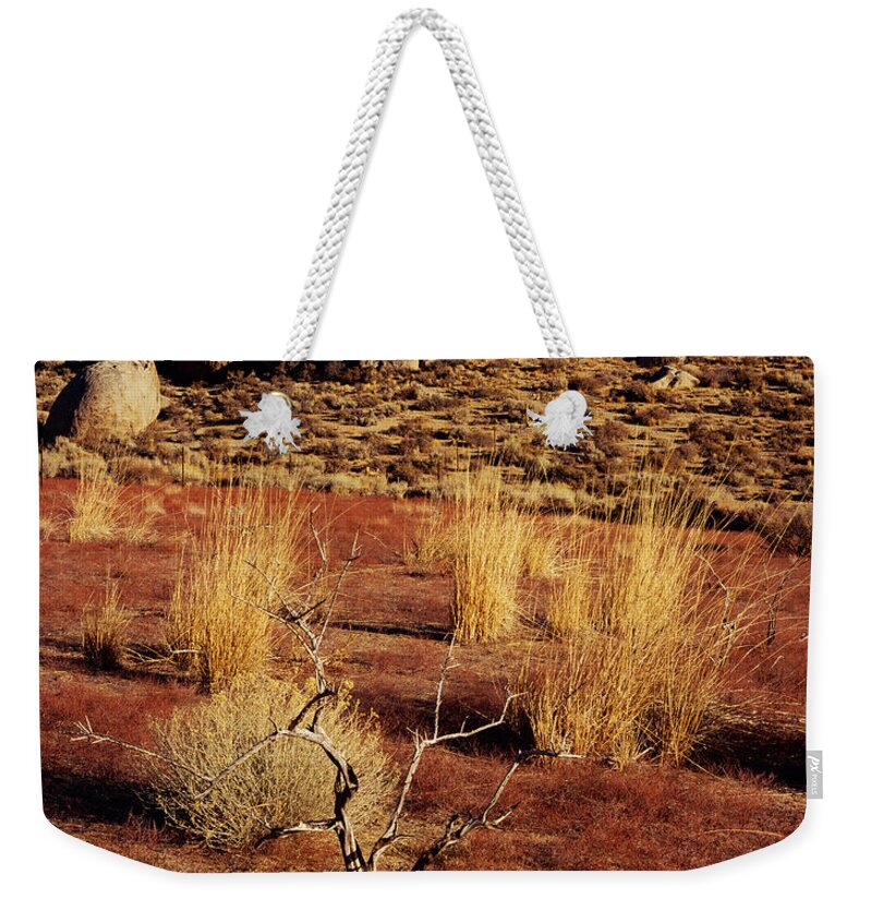 California Weekender Tote Bag featuring the photograph Buttermilks - Red Brush by Tom Daniel