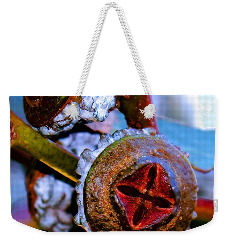 Trees Weekender Tote Bag featuring the photograph Pacific Northwest Washington Button Seed Pod by Tap On Photo