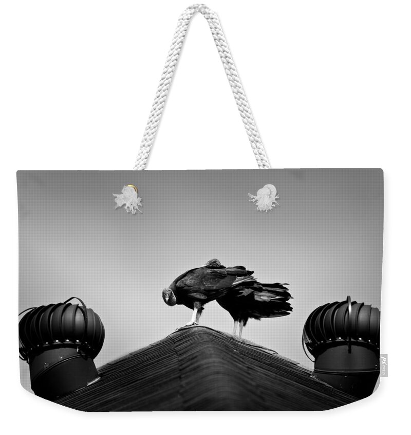Vulture Weekender Tote Bag featuring the photograph Buzzards 2 by Mark Alder