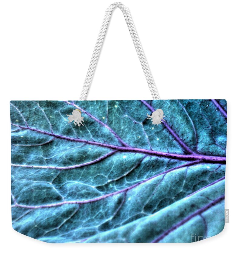 Savoy Cabbage Weekender Tote Bag featuring the photograph Cabbage Leaf by Nina Ficur Feenan