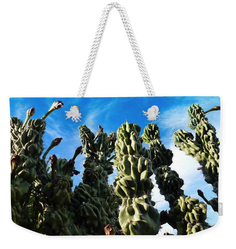 Cactus Weekender Tote Bag featuring the photograph Cactus 1 by Mariusz Kula