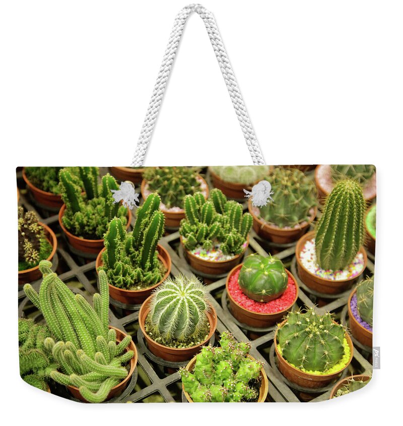 Taiwan Weekender Tote Bag featuring the photograph Cactus by Chia-hua Li