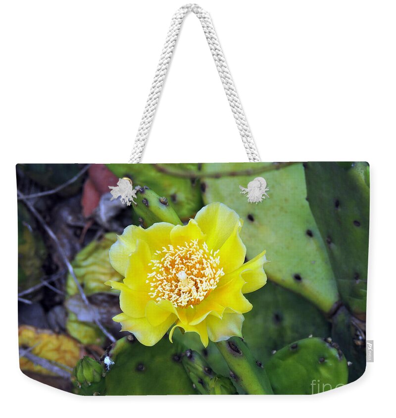 Cactus Weekender Tote Bag featuring the photograph Cactus Flower by Marilee Noland