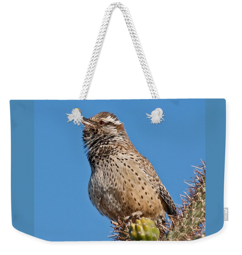 Animal Weekender Tote Bag featuring the photograph Cactus Wren Singing by Jeff Goulden