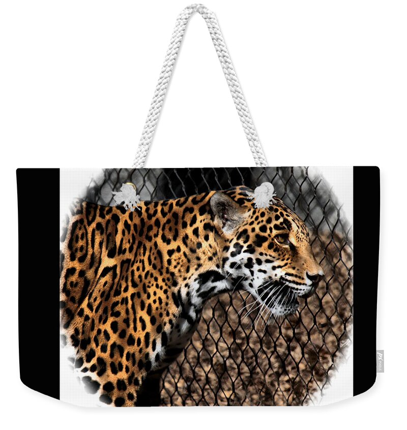 Jaguar Weekender Tote Bag featuring the photograph Caged Jaguar by Lucy VanSwearingen