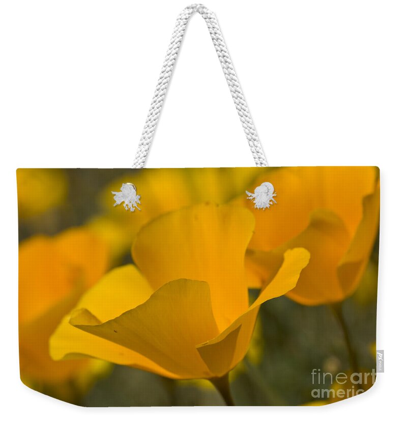 Flower Weekender Tote Bag featuring the photograph California Poppies by Bryan Keil