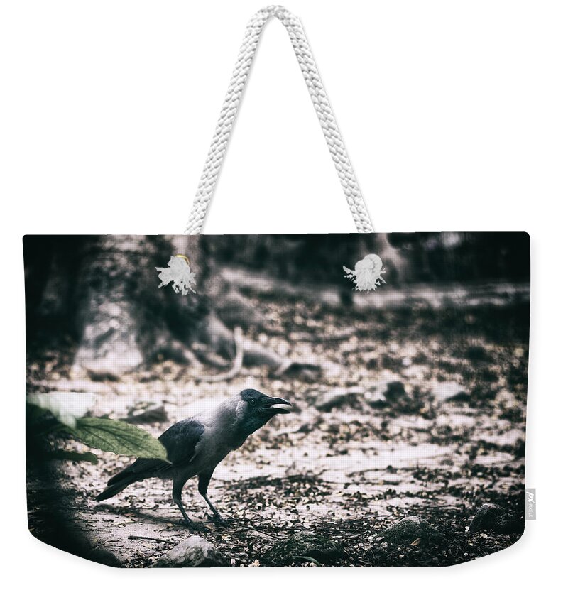 Crow Weekender Tote Bag featuring the photograph Call of the Crow by Scott Wyatt