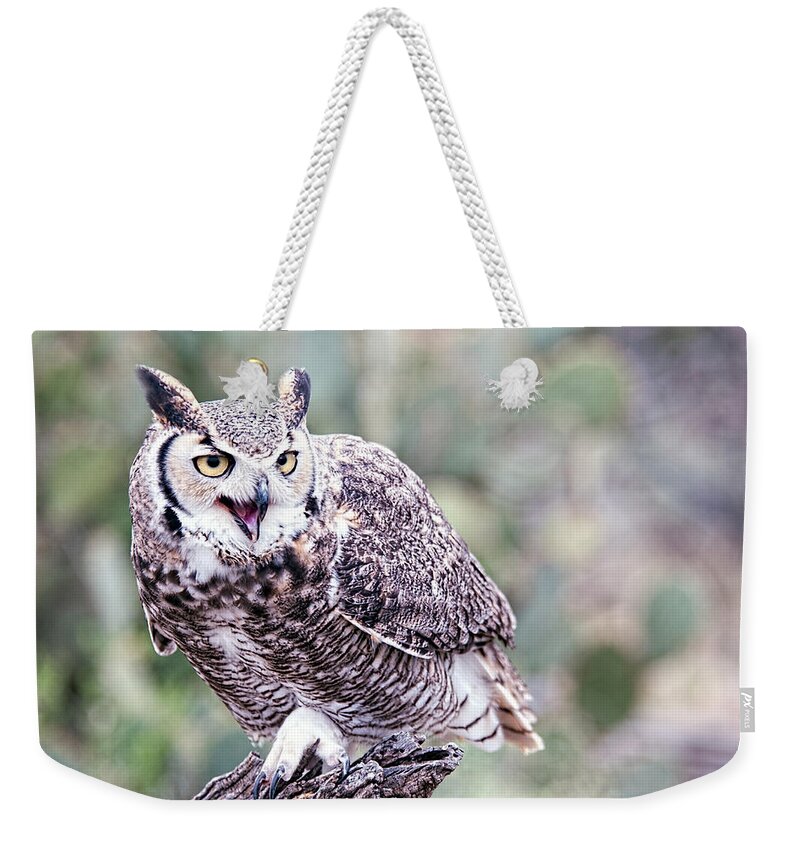 Arizona Weekender Tote Bag featuring the photograph Call of the Owl by Dan McManus