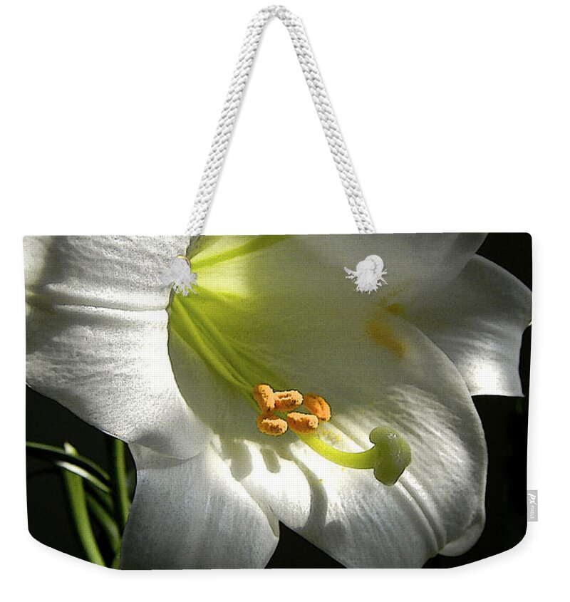 Easter Lily Weekender Tote Bag featuring the photograph Easter Lily Alone by Gary Olsen-Hasek