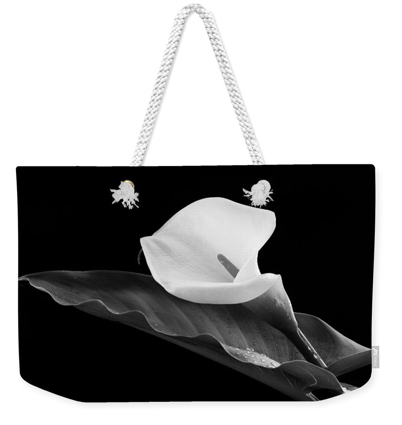 Calla Lili Weekender Tote Bag featuring the photograph Calla lily flower by Michalakis Ppalis