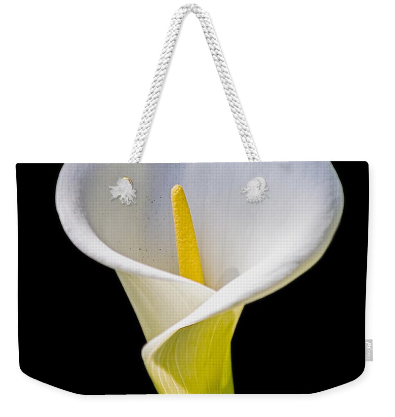 Calla Lily Weekender Tote Bag featuring the photograph Calla Lily by Kate Brown